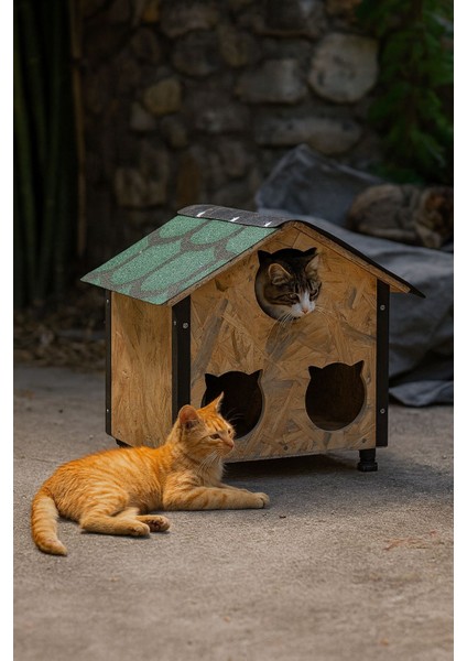 Kedi Kulübesi fiyatları