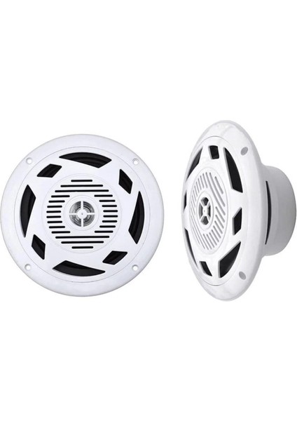 Hoparlör 13,5cm 100 Watt Tweeterlı