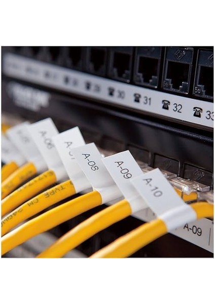 4200, Elde Taşınır Endüstriyel Etiketleme Makinesi (6/9/12/19 mm Rhino Şeritlerle Uyumlu Kullanım) - S0955990 modelleri