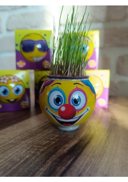 Çimoji 24&apos;lü Ayrı Kutularda Tek Tek Kutulu Çim Adam Çimadam