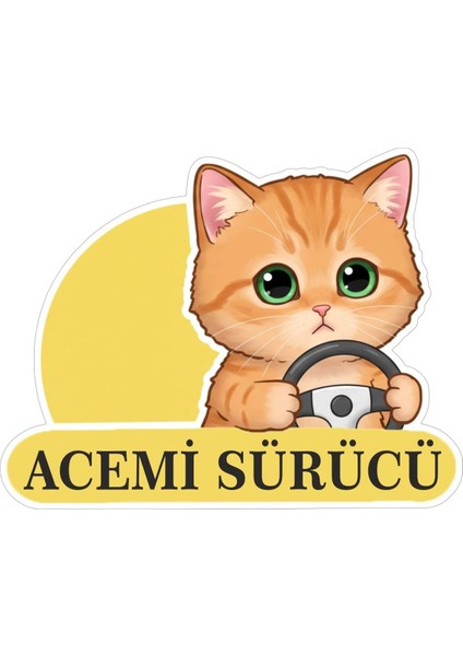 Tasarla Acemi Sürücü Sevimli Kedi Araba Etiketi & Çok Renkli