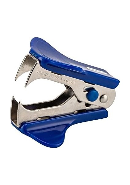 Tel Sökücü Kelebek Mavi