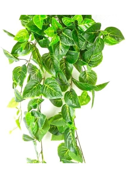Yapay Bitki Asılabilir Sarmaşık -Biftek Otu Gerçek Dokulu Yeşil 82 Cm. fiyatları