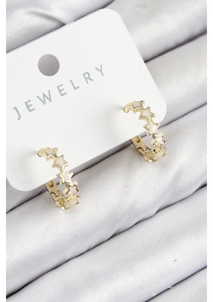 Pirinç Zirkon Taşlı Yıldız Renk Kadın Küpe