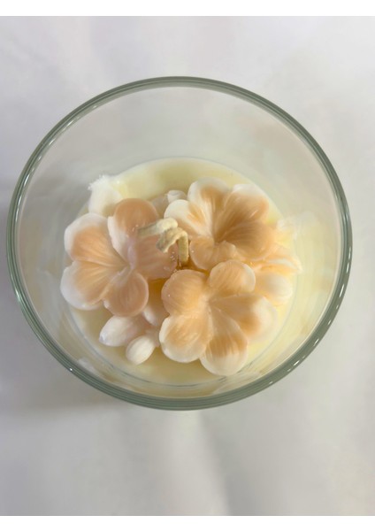 smydesing Cam Bardak Yonca Mum fiyatları