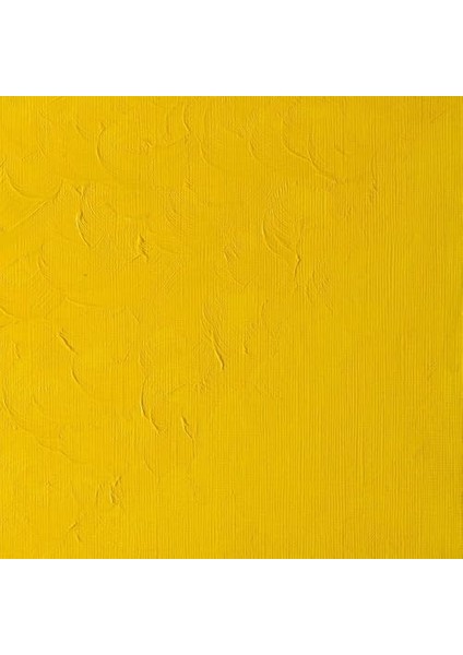 & Newton Wınton 37ML.119 (8) Cad Yellow Pale modelleri