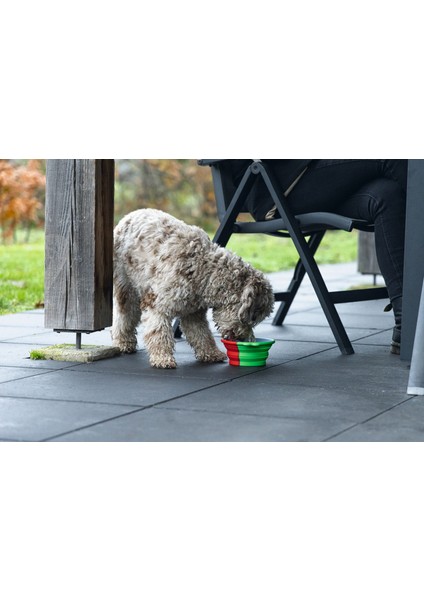 Nrzsnt Beeztees Köpek Mama ve Su Kabı, Teleskopik, Yeşil, Silikon, 15,5cm, 750ML fiyatları