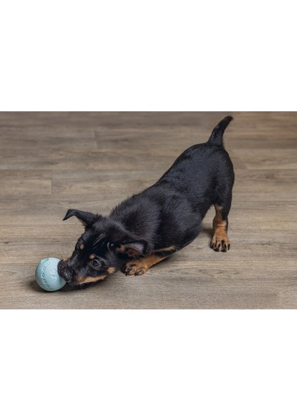 Nrzsnt Beeztees Yavru Köpek Oyuncağı, Top, Kauçuk, Yeşil, 6cm fiyatları