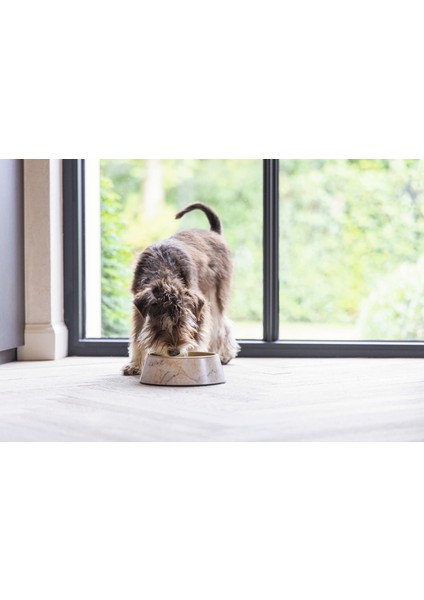 Nrzsnt Beeztees Dbl Köpek Mama Su Kabı, Mat Altın Rengi Paslanmaz Çelik, Bej Mermer Görünümlü, 14CM, 160ML fiyatları