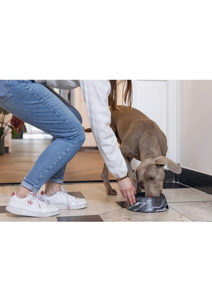 Nrzsnt Beeztees Dbl Köpek Mama Su Kabı, Mat Siyah Paslanmaz Çelik, Siyah Mermer Görünümlü, 22CM, 700ML fiyatları