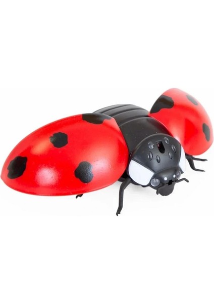 Buğz Oyuncak Işıklı Uğurböceği modelleri