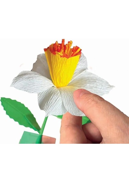 Buğz 18876 Idea Clemetoni - Çiçek Tasarıım Seti - Nergis modelleri