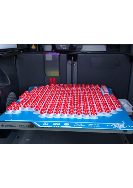 Mini Dekoratif Mantar Seti – 10’lu (1.5 Cm) modelleri