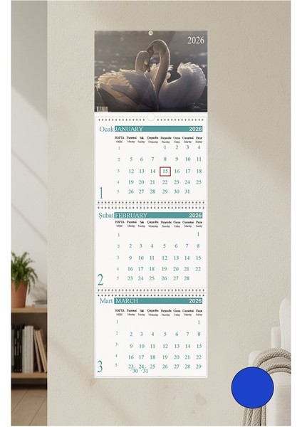 2026 Duvar Takvimi Kuğu Resimli 3 Aylık Gemici Takvimi Hayvan Resimli Jumbo Boy Askılı Spiralli Takvim Yeni Yıl Takvim