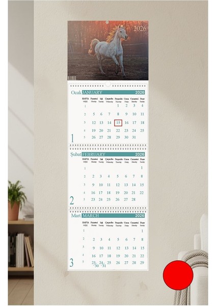 2026 Duvar Takvimi At Resimli 3 Aylık Gemici Takvimi Hayvan Resimli Jumbo Boy Askılı Spiralli Takvim Yeni Yıl Takvim