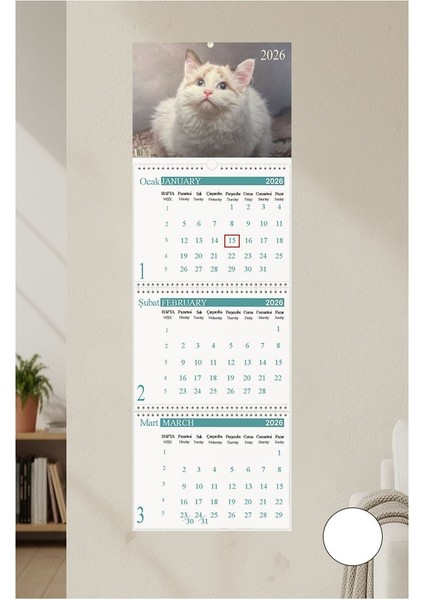 2026 Duvar Takvimi Kedi Resimli 3 Aylık Gemici Takvimi Hayvan Resimli Jumbo Boy Askılı Spiralli Takvim Yeni Yıl Takvim