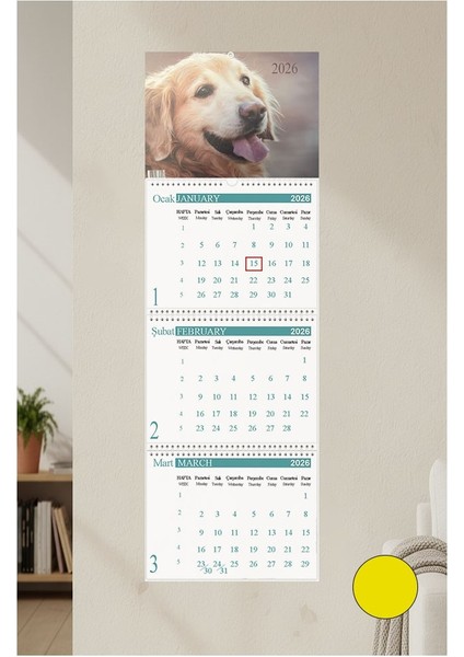 2026 Duvar Takvimi Köpek Resimli 3 Aylık Gemici Takvimi Hayvan Resimli Jumbo Boy Askılı Spiralli Takvim Yeni Yıl Takvim