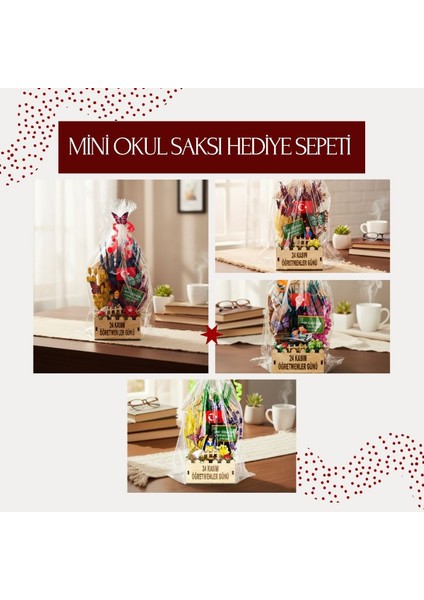 Mini Okul Saksı Hediye Sepeti - Öğretmenler Günü Hediyesi