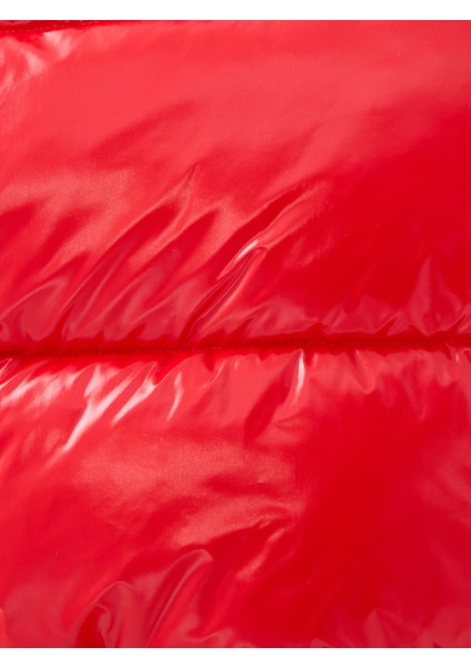 Regular Fit Kadın Mont