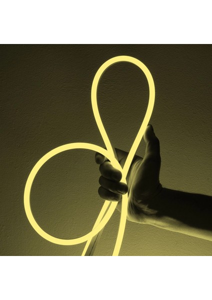 2 Metre Neon LED Günışığı 220 Volt Hortum LED Tak Çalıştır Şerit LED Yüksek Işık Su Geçirmez