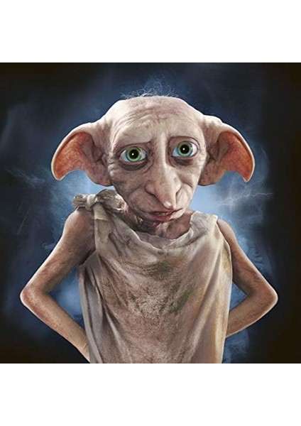 , Potter Hafıza Oyunu, Hafıza Oyunu modelleri