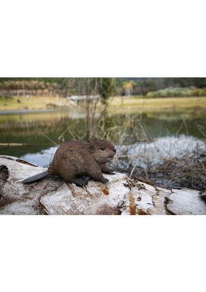 Kunduz Yavru Heykeli