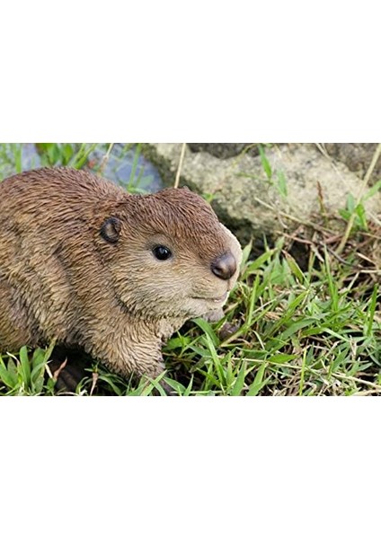 Kunduz Yavru Heykeli modelleri