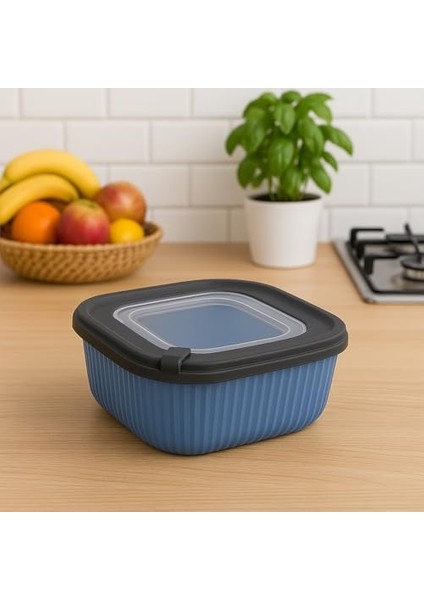 600 ml Renkli Plastik Saklama Kabı | Vakum Kapaklı Sızdırmaz Gıda Saklama Kutusu | Mikrodalga ve Bulaşık Makinesi Uyumlu | Tekli Ürün modelleri