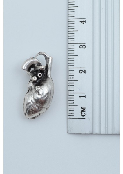 Kalp Gümüş Kaplama Örme Zincir Kolye modelleri