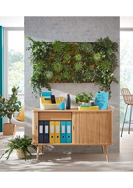 Cosy 1-12 Yazdırılabilir Separatör Pp modelleri