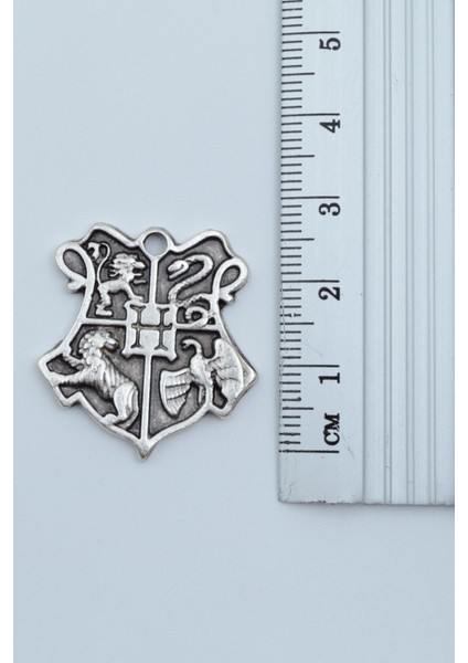 Harry Potter Hogwarts Sembol Gümüş Kaplama Örme Zincir Kolye modelleri