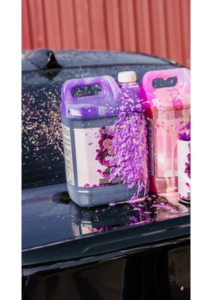 Royal Violet Mor Renkli Oto Yıkama Köpüğü Oto Şampuan 1:15 Konsantre 5 L fırsatları