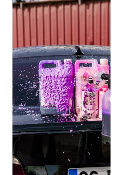 Royal Violet Mor Renkli Oto Yıkama Köpüğü Oto Şampuan 1:15 Konsantre 5 L indirimleri