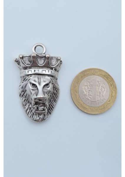 Aslan Kral Gümüş Kaplama Deri İp Kolye fırsatları