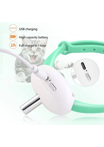 Gold Be Otomatik Lazerli Kedi Tasması modelleri