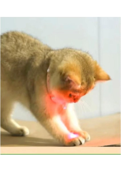 Gold Be Otomatik Lazerli Kedi Tasması fırsatları