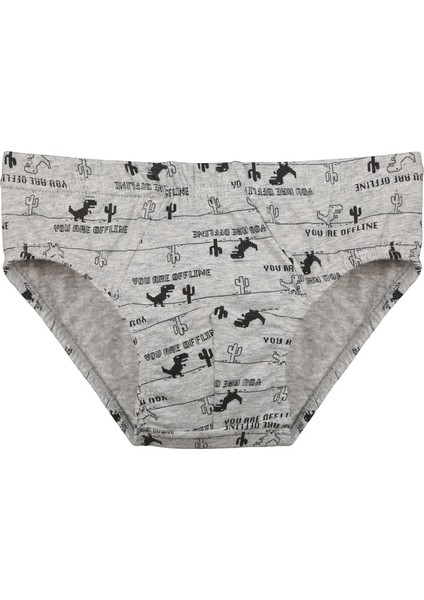 5'li Erkek Çocuk Külot