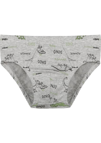 5'li Erkek Çocuk Külot