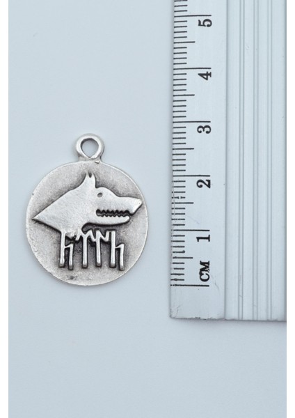 Göktürkçe Türk - Kurt Madalyon Gümüş Kaplama Deri İp Kolye modelleri