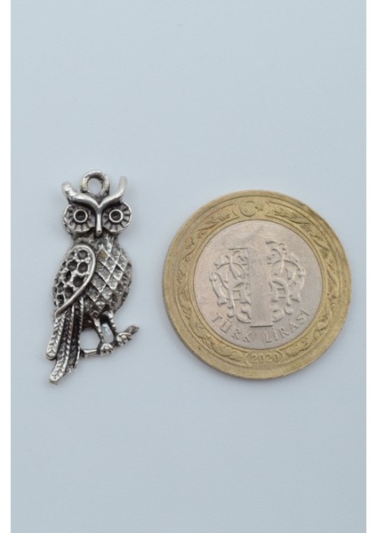 Minimal Baykuş Gümüş Kaplama Deri İp Kolye fırsatları