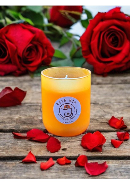 Oval Cam Bardakta Hoş Kokulu Büyük Boy % 100 Doğal Soya Mum Temiz Yanışlı Modern Dekoratif Tasarım | Ev & Ofis Dekorasyonu, Medıtasyon-Yoga Alanları ve Özel Günler Için Zarif Hediyelik Seçeneği