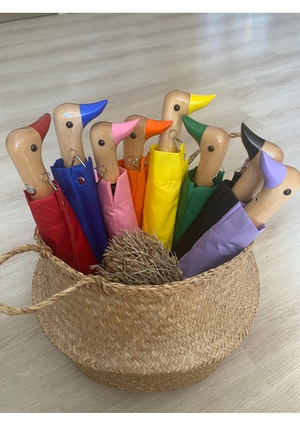 Çok Renkli Yeşil Ördek Şemsiye, Şık ve Dayanıklı Koruma Sağlayan Tasarım fırsatları