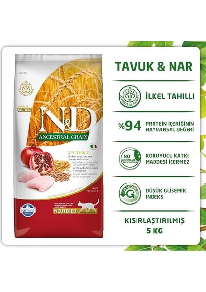 N&d Ancestral Grain Kedi Maması, Kuru Mama, Tavuk, Kılçıksız Buğday, Yulaf ve Narlı fırsatları