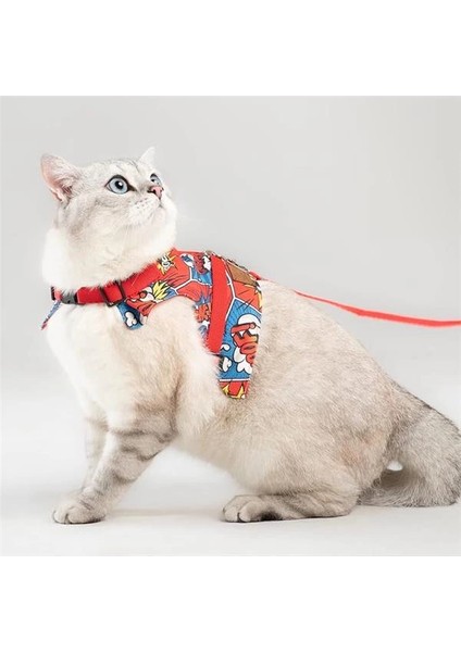 Kaçış Önleyici Kedi Gezdirme Tasması ve Küçük Irk Köpek Gezdirme Tasması (M, Boom!)