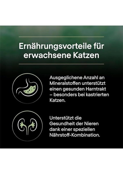 Live Clear Yetişkin Kısırlaştırılmış Kedi Maması Hindi Etli 7 kg fırsatları