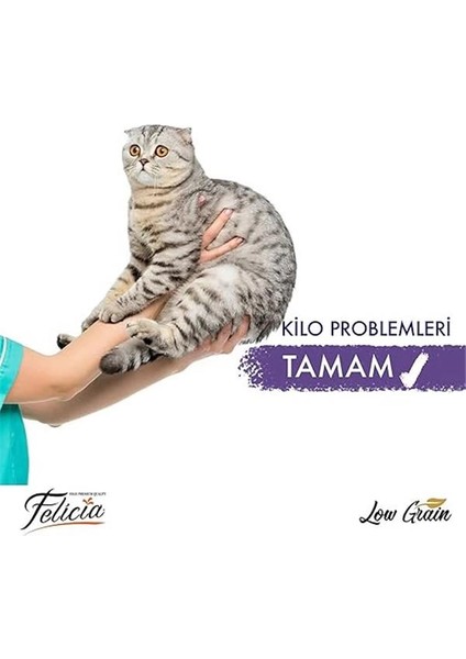 Az Tahıllı Sterilised Somonlu Kedi Maması 12 kg