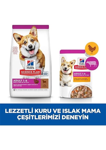 Hill's Sp Kuzulu ve Pirinçli Küçük ve Mini Irk Yetişkin Köpek Maması 5+1kg