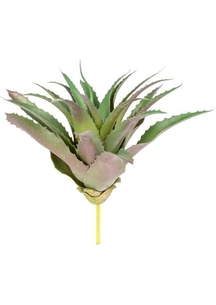 Yapay Kaktüs Sukulent Yeşil 28 cm fiyatları