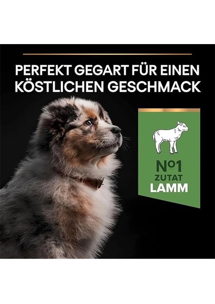 Medium Puppy Kuzu Etli Köpek Maması 12 kg indirimleri