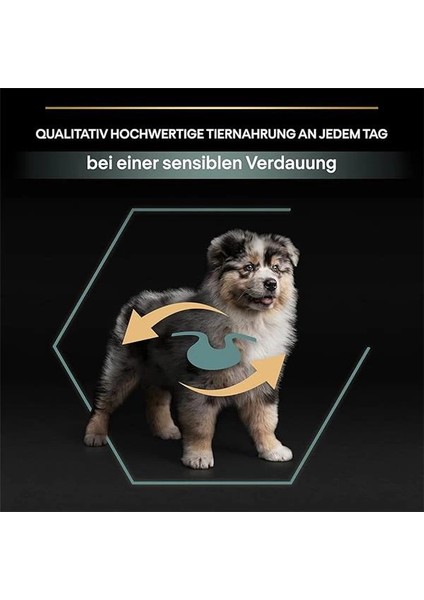 Medium Puppy Kuzu Etli Köpek Maması 12 kg